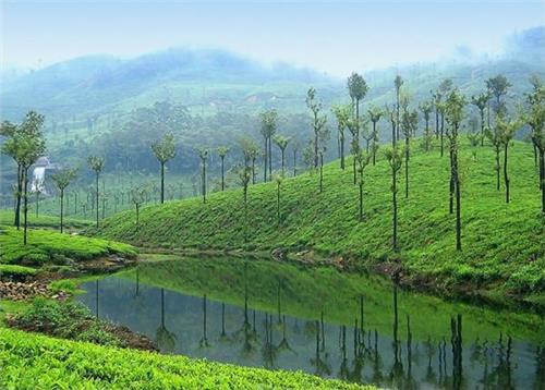 Valparai