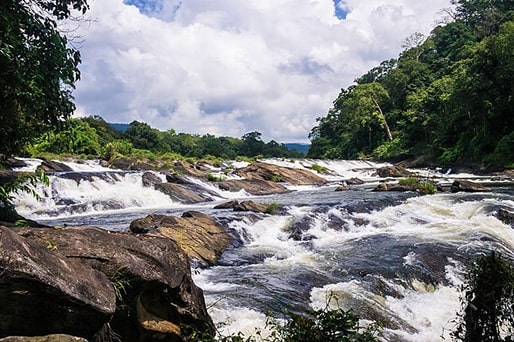 vazhachaal