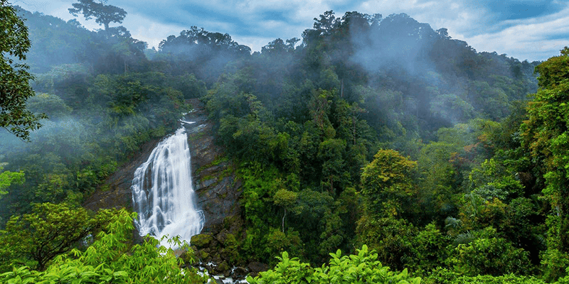munnar water fall 1