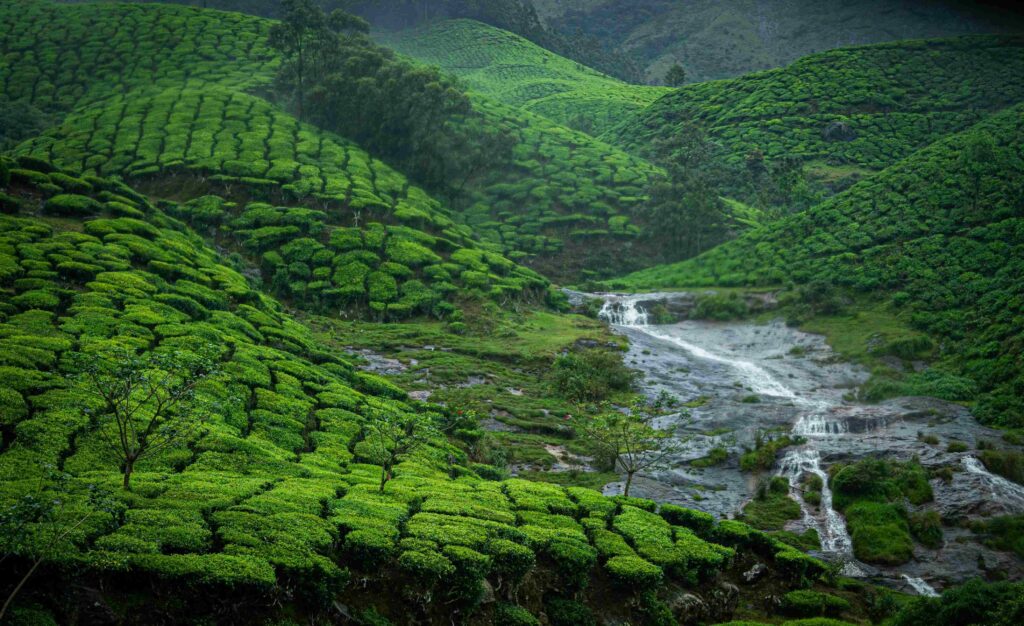 Munnar