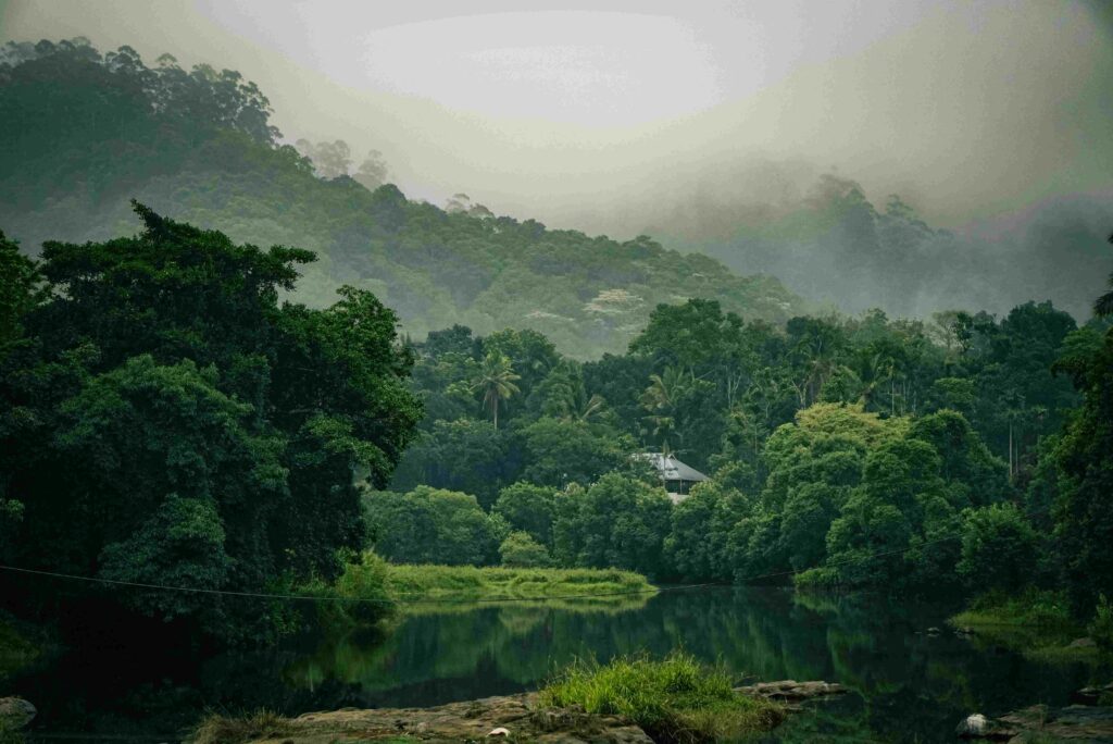 Thekkady 1